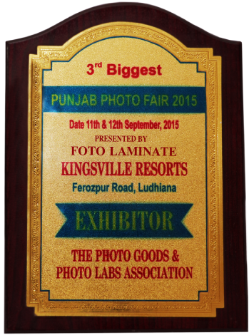 PUNJAB PHOTO FAIR LUDHIANA AWARD IN 2015