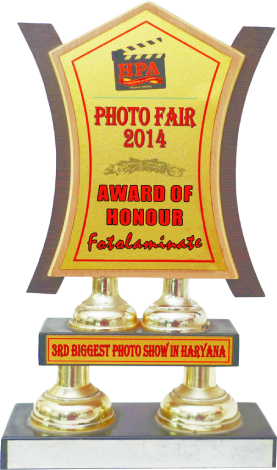 HARYANA PHOTOGRAPHIC ASSOCIATION PHOTO FAIR AWARD IN 2014